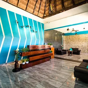 book here